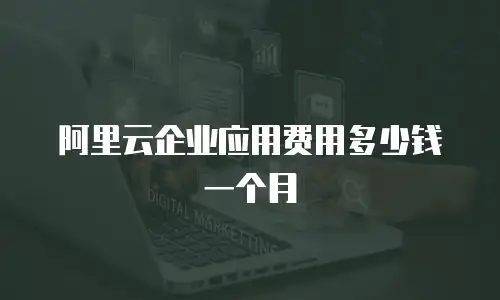 阿里云企业应用费用多少钱一个月