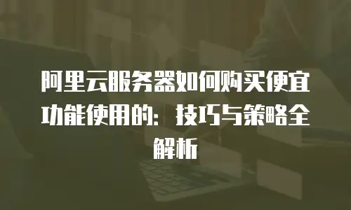 阿里云服务器如何购买便宜功能使用的：技巧与策略全解析