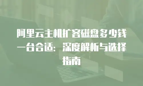 阿里云主机扩容磁盘多少钱一台合适：深度解析与选择指南