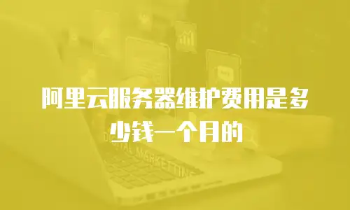 阿里云服务器维护费用是多少钱一个月的