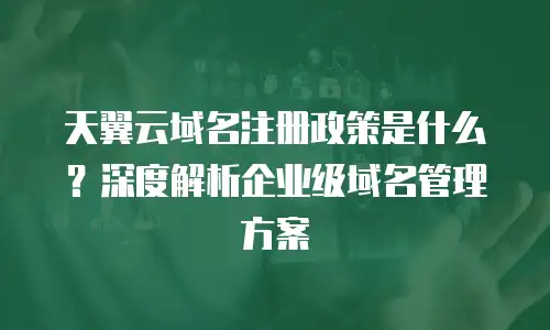 天翼云域名注册政策是什么？深度解析企业级域名管理方案
