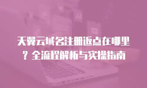 天翼云域名注册返点在哪里？全流程解析与实操指南  