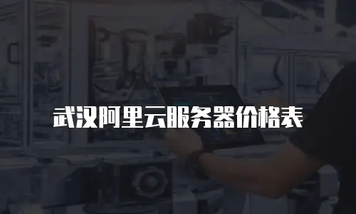 武汉阿里云服务器价格表