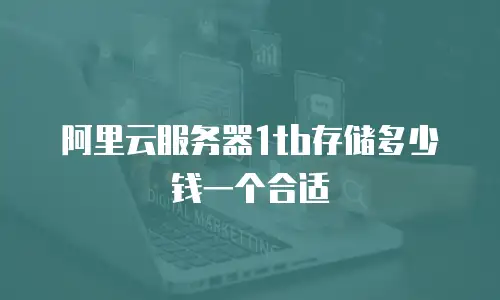 阿里云服务器1tb存储多少钱一个合适