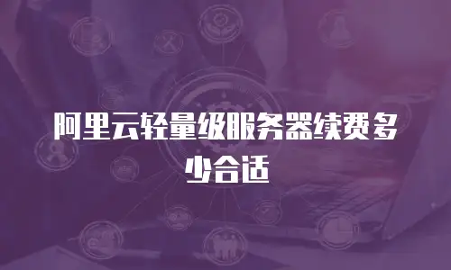 阿里云轻量级服务器续费多少合适