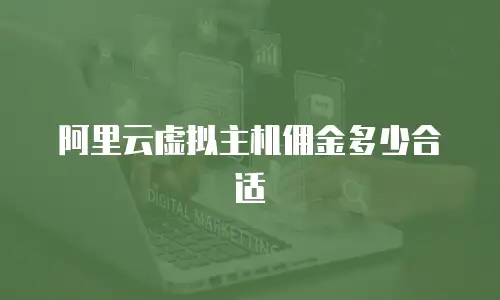 阿里云虚拟主机佣金多少合适