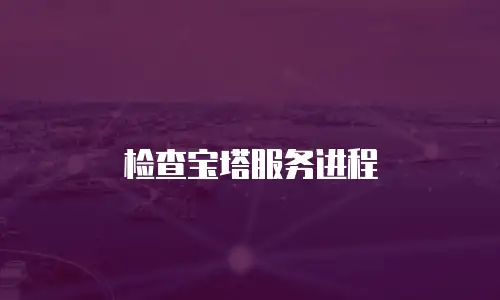 检查宝塔服务进程