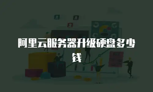 阿里云服务器升级硬盘多少钱