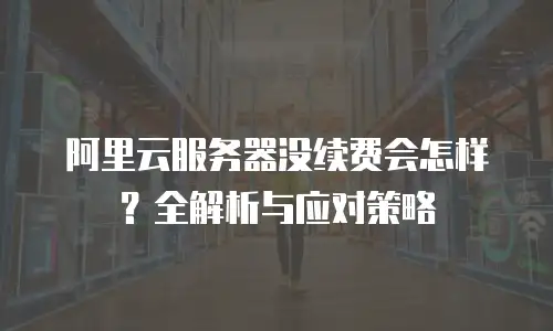 阿里云服务器没续费会怎样？全解析与应对策略