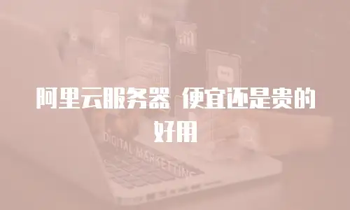 阿里云服务器 便宜还是贵的好用
