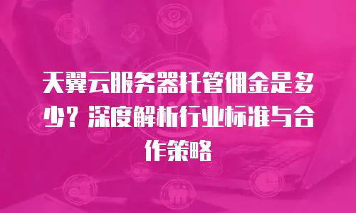 天翼云服务器托管佣金是多少？深度解析行业标准与合作策略