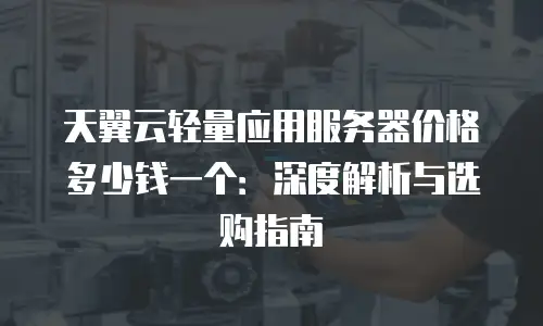 天翼云轻量应用服务器价格多少钱一个：深度解析与选购指南