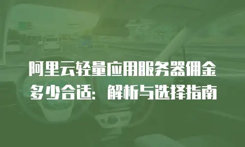 阿里云轻量应用服务器佣金多少合适：解析与选择指南