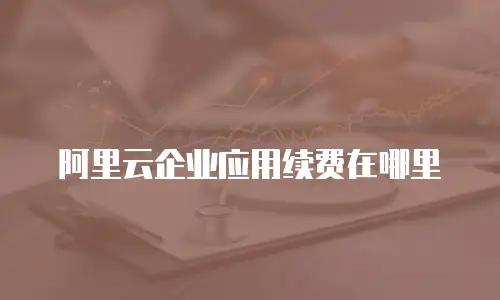 阿里云企业应用续费在哪里
