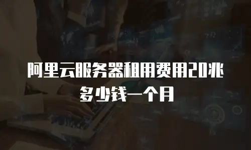阿里云服务器租用费用20兆多少钱一个月