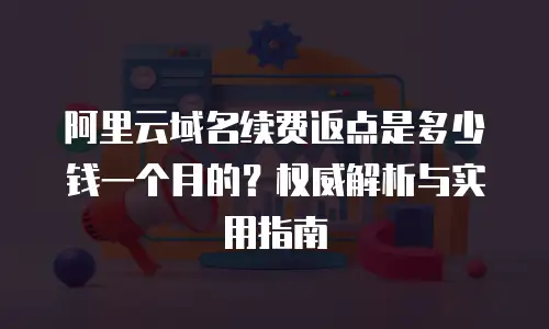 阿里云域名续费返点是多少钱一个月的？权威解析与实用指南