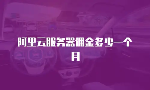 阿里云服务器佣金多少一个月