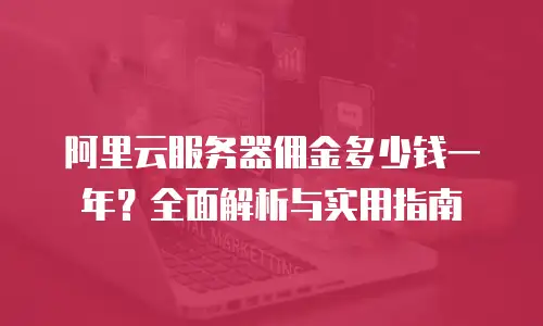 阿里云服务器佣金多少钱一年？全面解析与实用指南