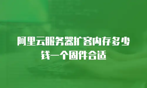 阿里云服务器扩容内存多少钱一个固件合适