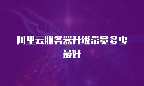 阿里云服务器升级带宽多少最好