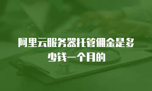 阿里云服务器托管佣金是多少钱一个月的