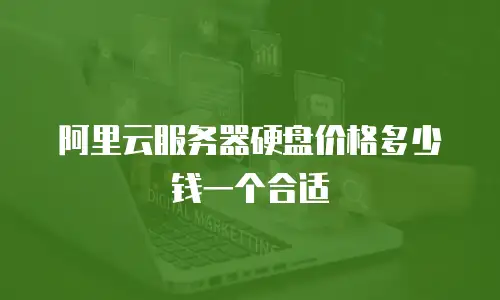 阿里云服务器硬盘价格多少钱一个合适
