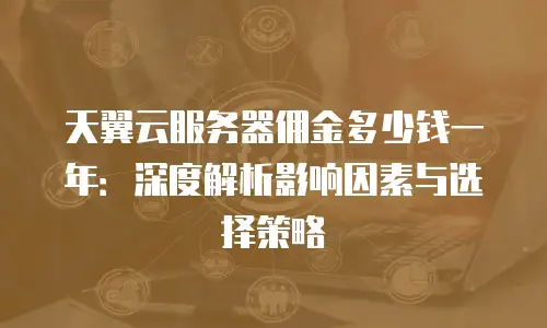 天翼云服务器佣金多少钱一年：深度解析影响因素与选择策略