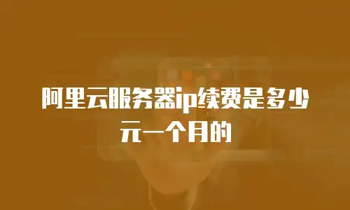 阿里云服务器ip续费是多少元一个月的