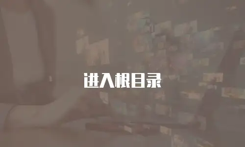 进入根目录