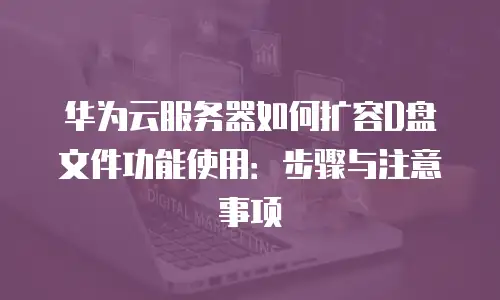 华为云服务器如何扩容D盘文件功能使用：步骤与注意事项