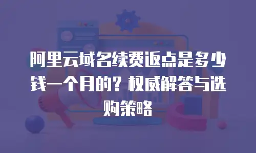 阿里云域名续费返点是多少钱一个月的？权威解答与选购策略  
