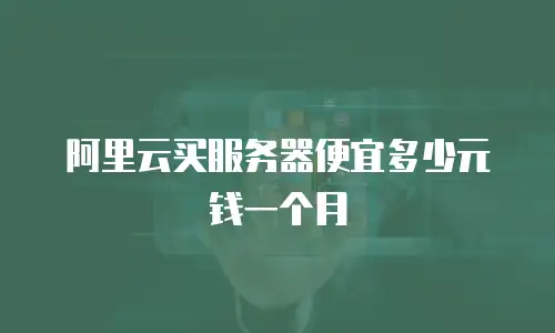 阿里云买服务器便宜多少元钱一个月