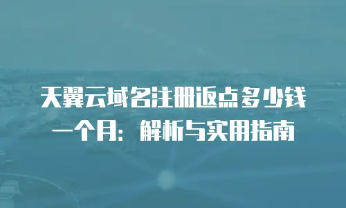 天翼云域名注册返点多少钱一个月：解析与实用指南
