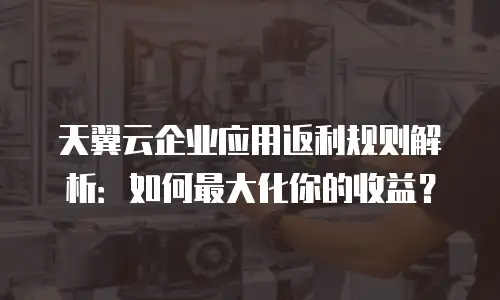 天翼云企业应用返利规则解析：如何最大化你的收益？