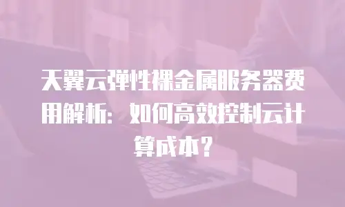 天翼云弹性裸金属服务器费用解析：如何高效控制云计算成本？