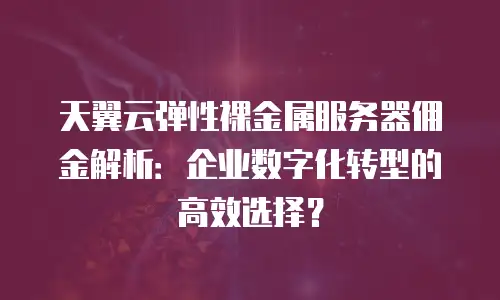 天翼云弹性裸金属服务器佣金解析：企业数字化转型的高效选择？