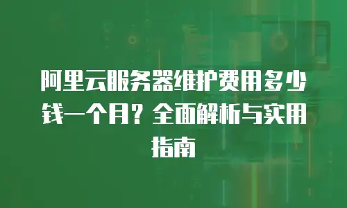 阿里云服务器维护费用多少钱一个月？全面解析与实用指南