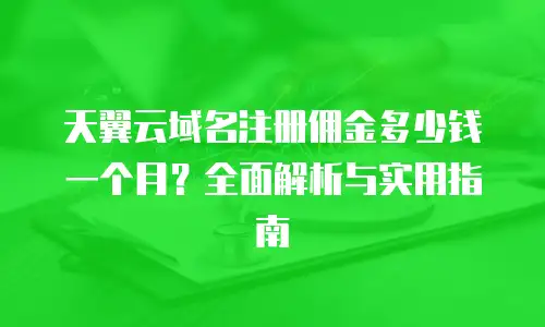 天翼云域名注册佣金多少钱一个月？全面解析与实用指南