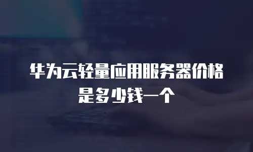华为云轻量应用服务器价格是多少钱一个
