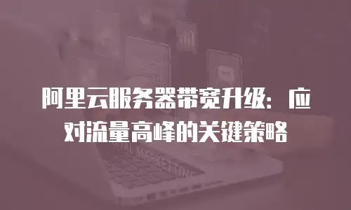 阿里云服务器带宽升级：应对流量高峰的关键策略