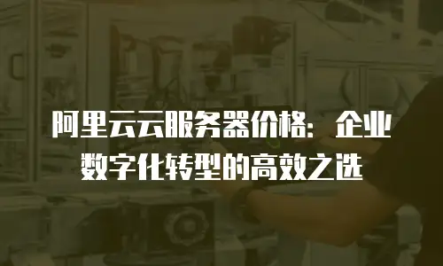 阿里云云服务器价格：企业数字化转型的高效之选