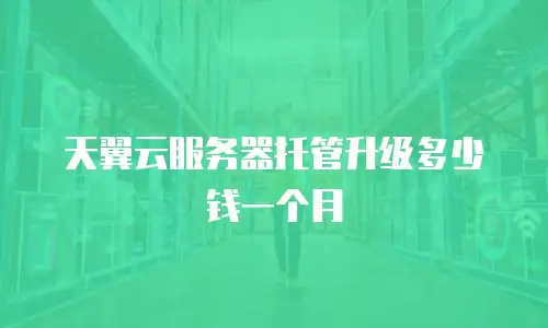 天翼云服务器托管升级多少钱一个月