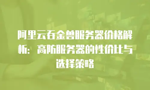 阿里云吞金兽服务器价格解析：高防服务器的性价比与选择策略