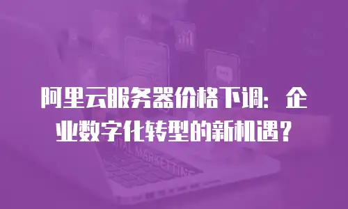 阿里云服务器价格下调：企业数字化转型的新机遇？