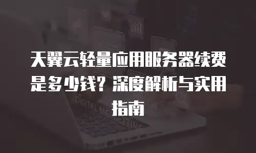 天翼云轻量应用服务器续费是多少钱？深度解析与实用指南