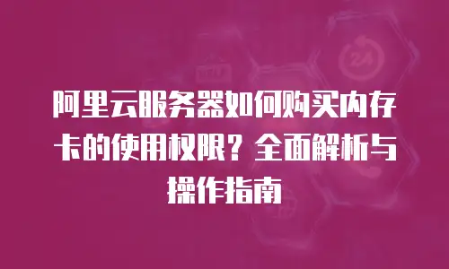 阿里云服务器如何购买内存卡的使用权限？全面解析与操作指南