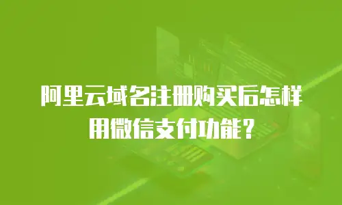 阿里云域名注册购买后怎样用微信支付功能？