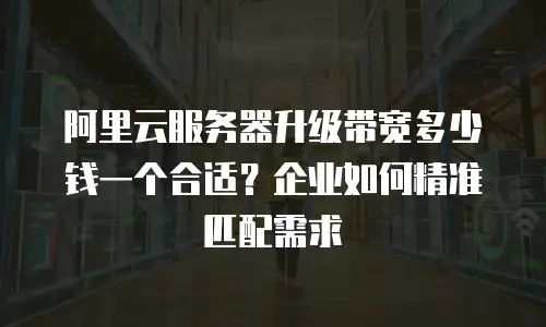 阿里云服务器升级带宽多少钱一个合适？企业如何精准匹配需求