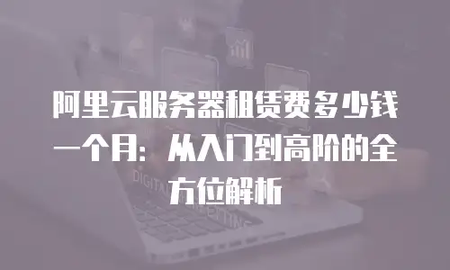 阿里云服务器租赁费多少钱一个月：从入门到高阶的全方位解析