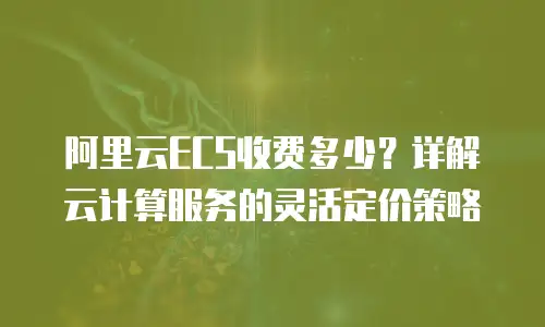 阿里云ECS收费多少？详解云计算服务的灵活定价策略